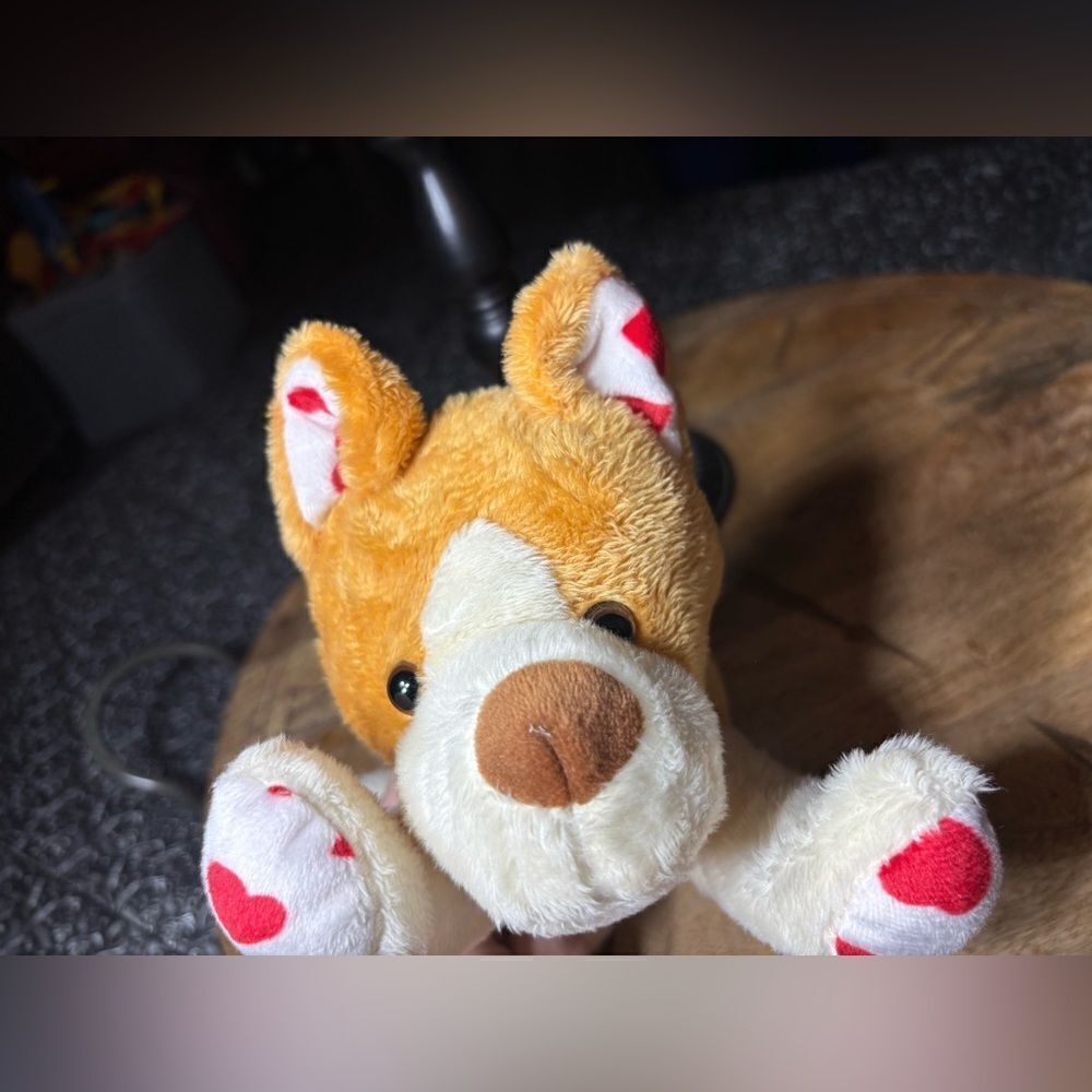 🧨⚡️💵🎲 Corgi Boss Dog Plush Toy Way To Celebrate EPC Stuffed Animal